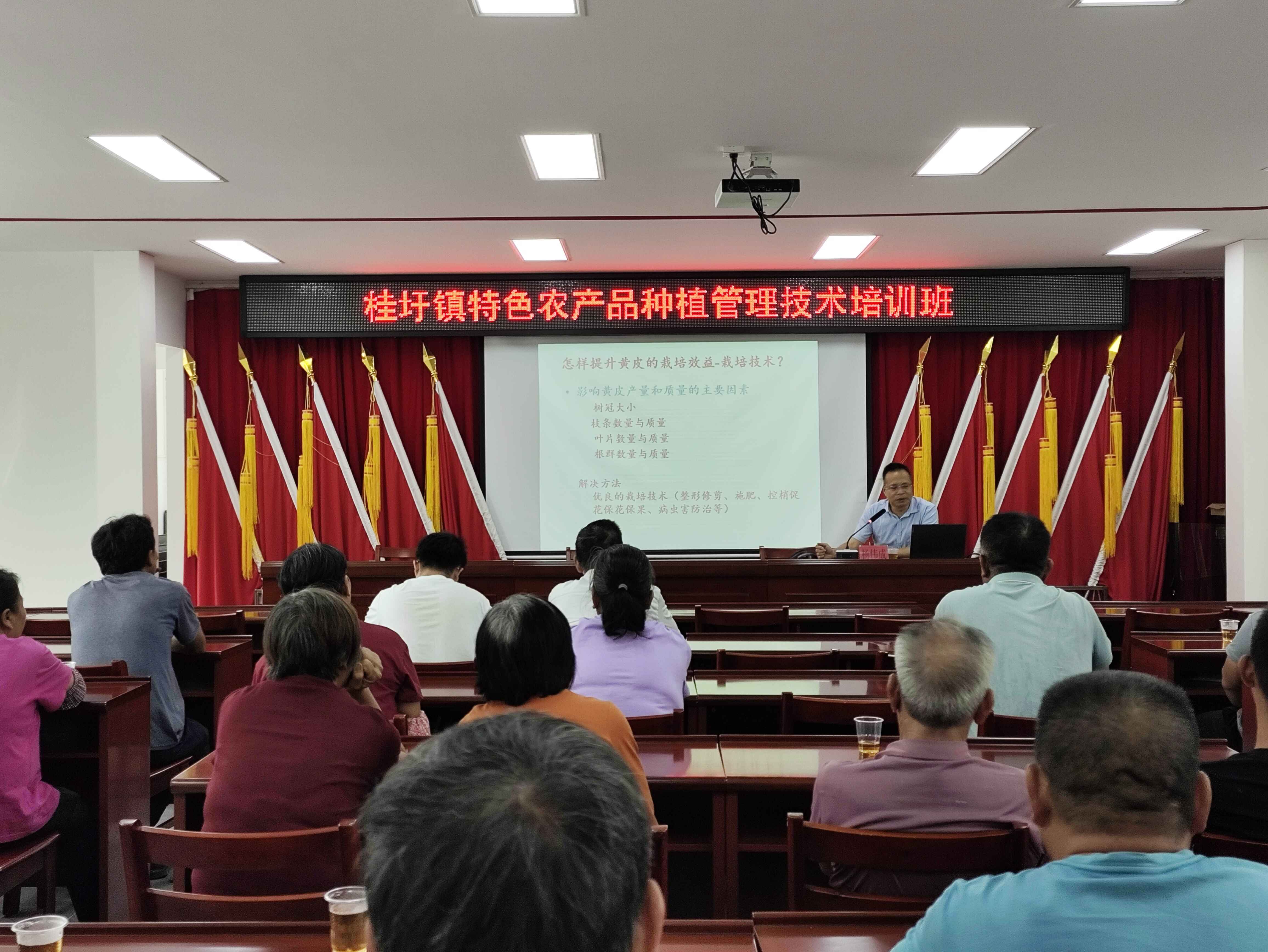 郁南县桂圩镇:开展种植技术培训 助力特色农业提质增效