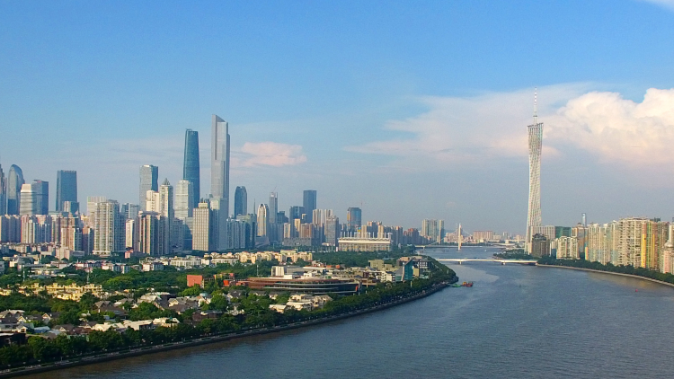 增速领跑！广东为何依然是外企投资首选地？