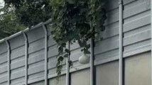 守护网红“葫芦”,守护城市文明的默契 守护网红“葫芦”,守护城市文明的默契