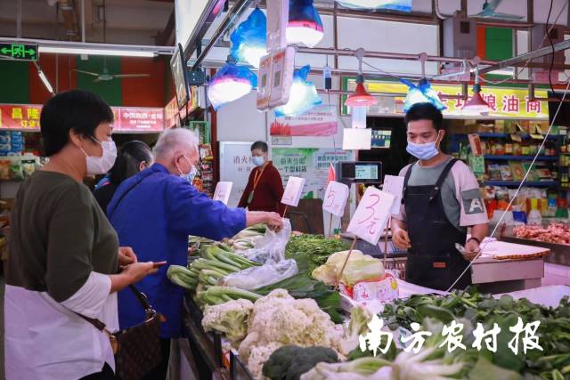 南方农村报 王富迪 拍摄