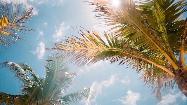 天气炎热睡不着？中医支招助你一夜好眠