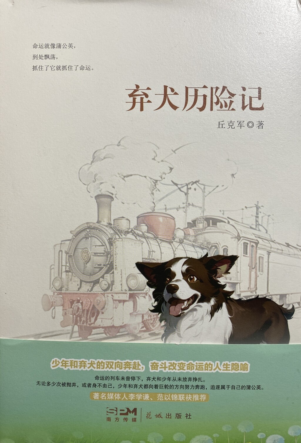 《弃犬历险记》封面。