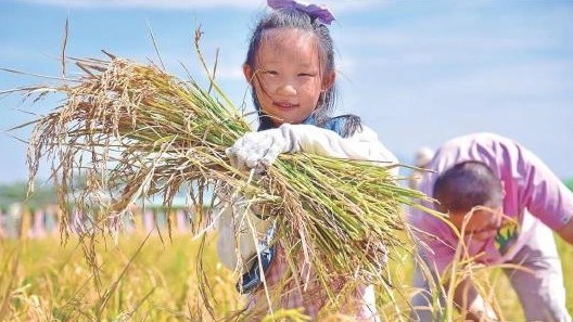 十一黄金周，快乐到广州！广州乡村游走出多个“示范”样板