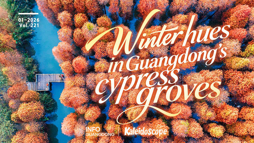 Explore caramel winter hues in Guangdong's cypress groves