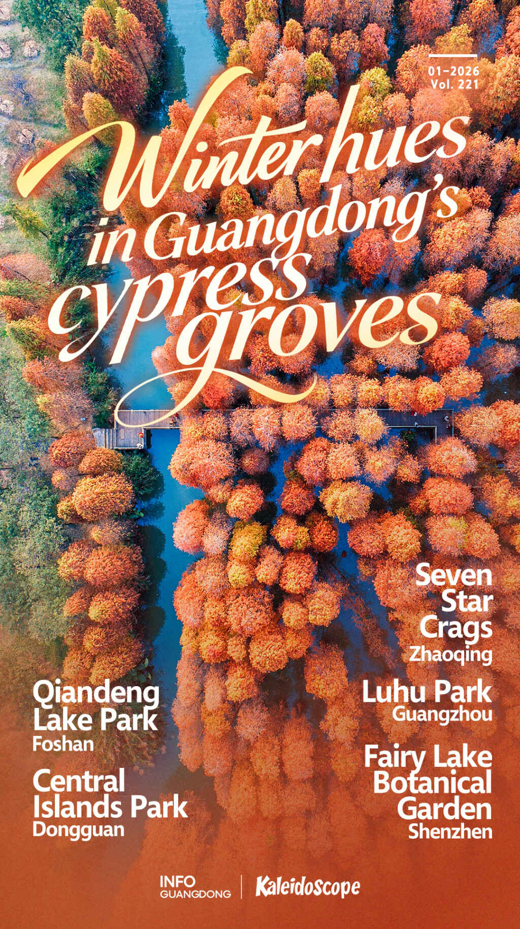 Explore caramel winter hues in Guangdong's cypress groves