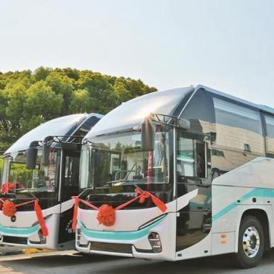 Operation round the clock! Shuttle buses for Shenzhen-Zhongshan Link ready to use