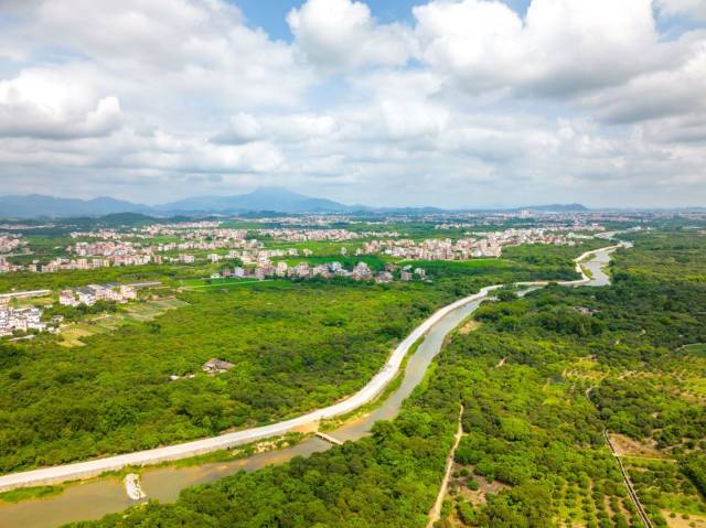 分界镇是高州市乃至茂名市全域推进乡村振兴的“优质选手”。 