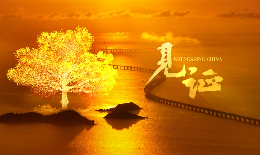 创意视频｜见证