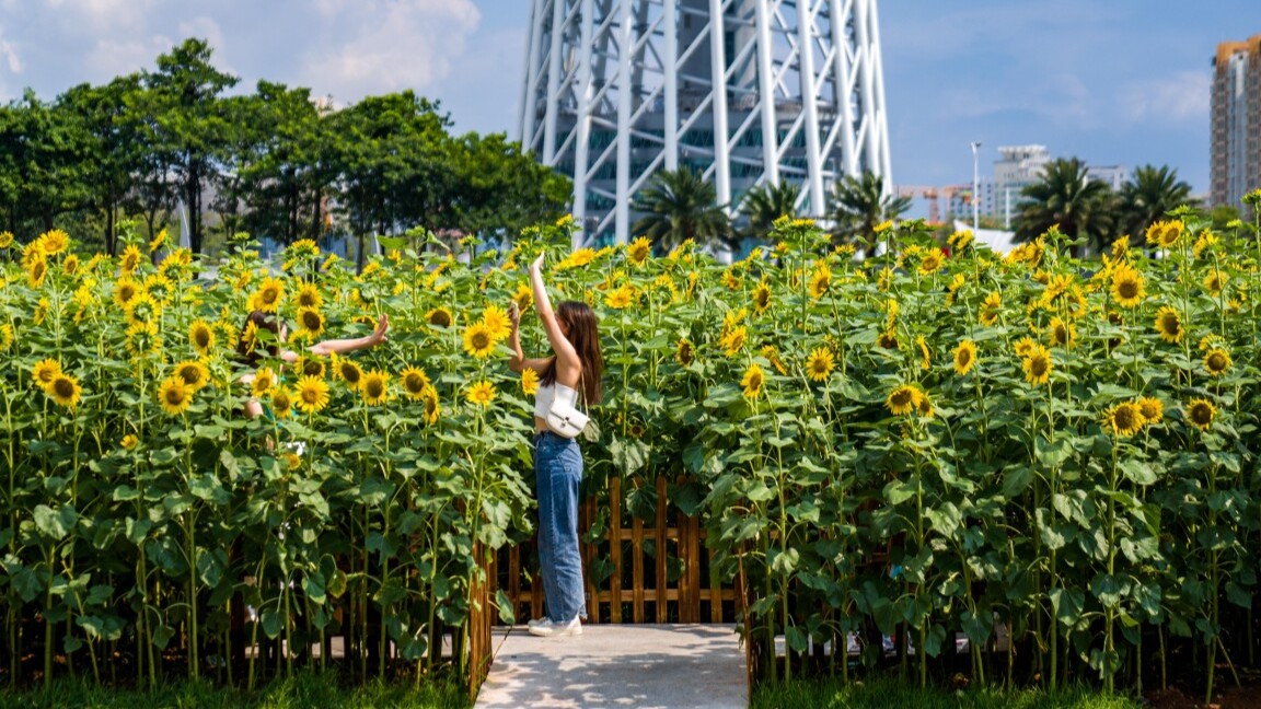 Guangdong enters 40-day Sanfu with hot, rainy weather