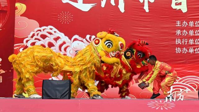 Dragon, lion dance competition held in Qingyuan's Lianzhou