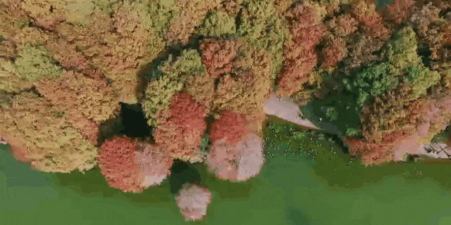 洪湖公园1.gif
