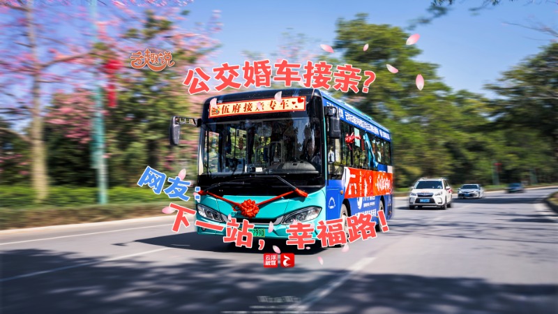 云趣说2024丨公交婚车接亲？网友：下一站，幸福路！