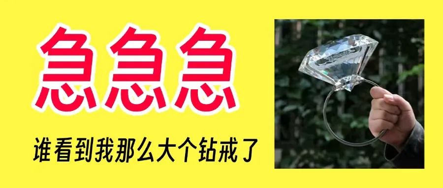 急急急！扔个垃圾把价值10万元2克拉钻戒给丢了……