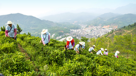 A list of some export demonstration bases and enterprises of Guangdong agricultural products