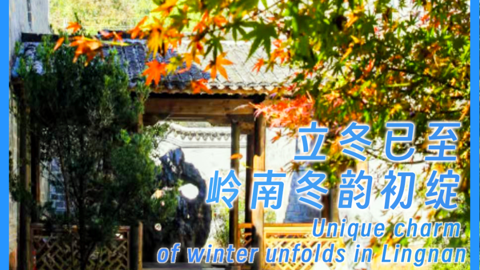 Unique charm of winter unfolds in Lingnan