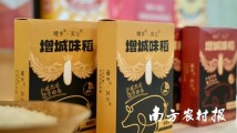 “一枝独秀”!增城丝苗米亮相全国粮油主产县和品牌推介活动 “一枝独秀”!增城丝苗米亮相全国粮油主产县和品牌推介活动