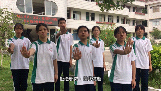 图片7.png