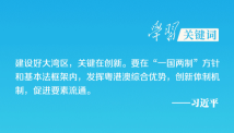 学习关键词丨大湾区 大未来 学习关键词丨大湾区 大未来