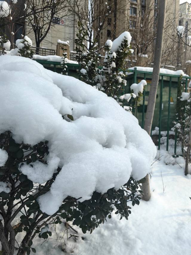 1月18日的北京，被大雪覆盖。受访者 供图