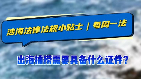 涉海法律法规小贴士｜每周一法：出海捕捞需要具备什么证件？
