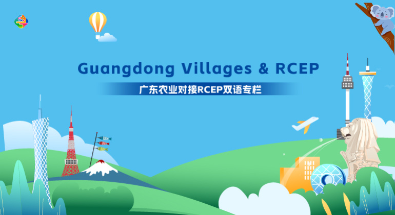 Guangdong Villages ＆ RCEP