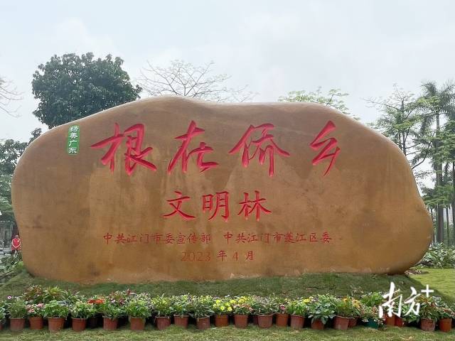 活动为“根在侨乡”景观石揭幕。 南方+ 叶芷晴 拍摄