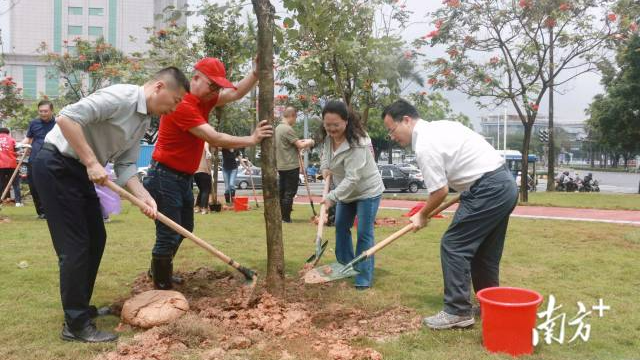把“根”扎在侨乡！华侨华人在江门共植文明林