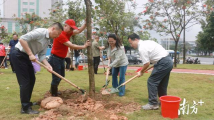 把“根”扎在侨乡!华侨华人在江门共植文明林 把“根”扎在侨乡!华侨华人在江门共植文明林