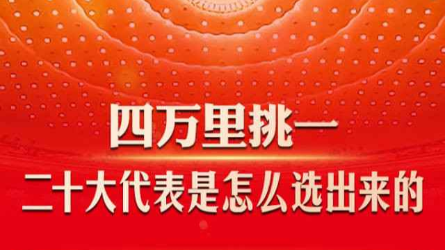 四万里挑一！二十大代表是怎么选出来的