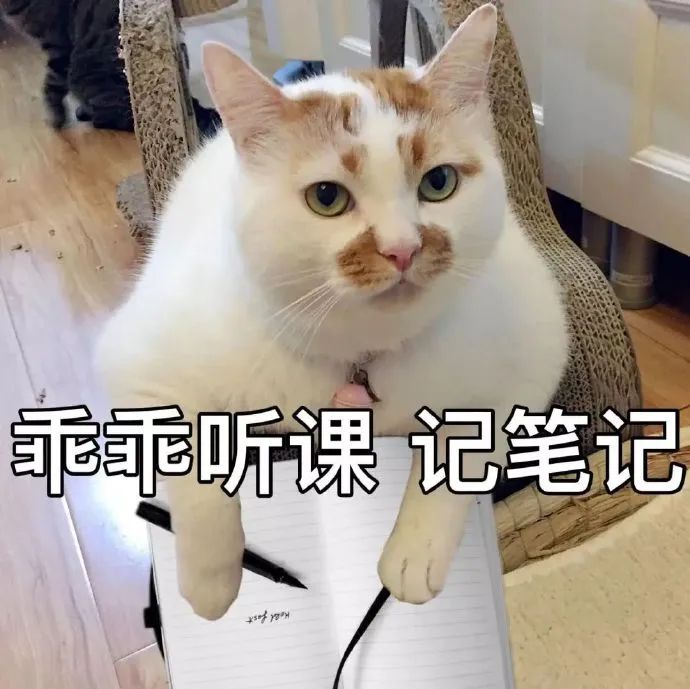 粤省事_20240321_172332.jpg