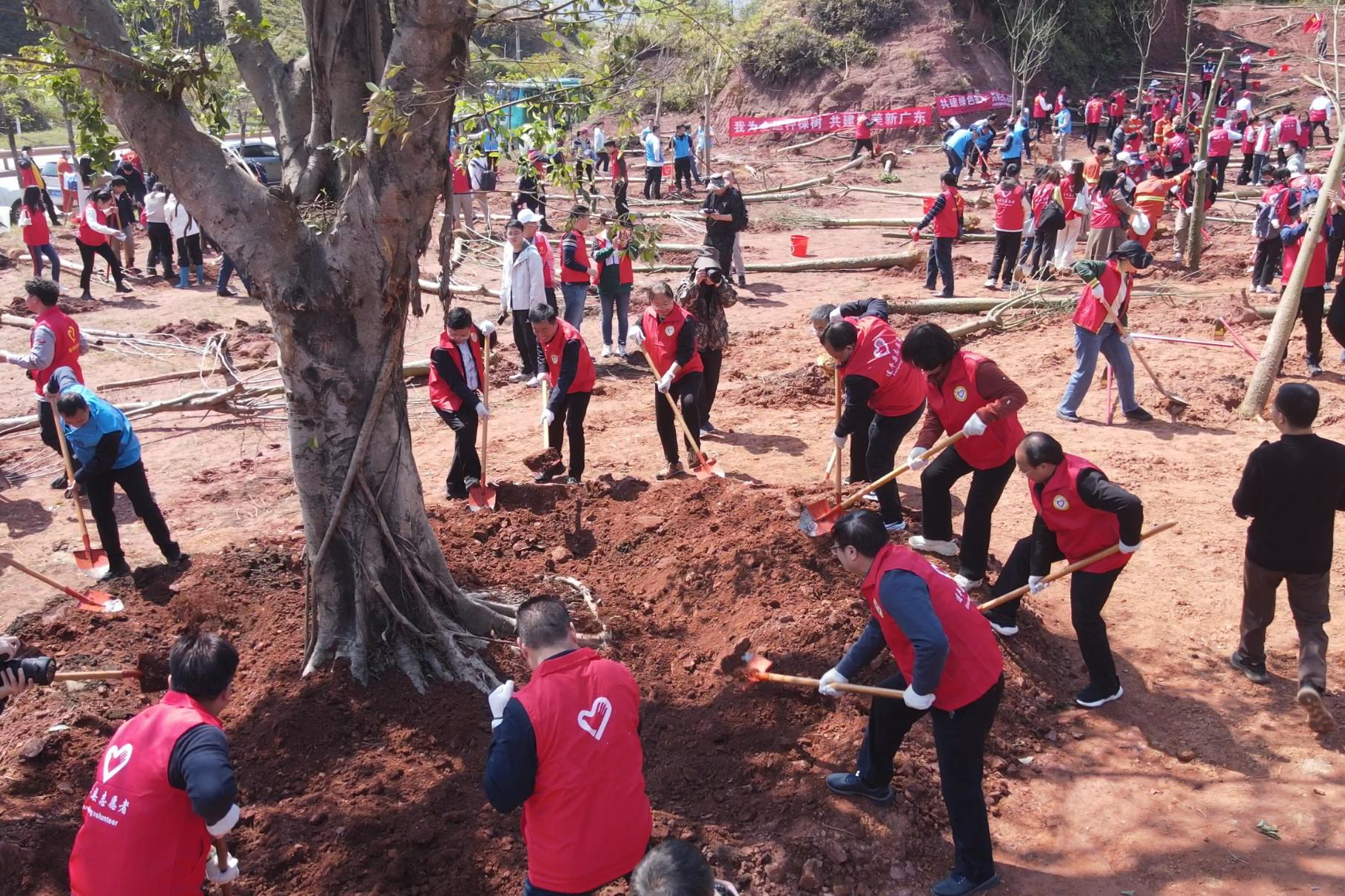 百企千人万树 广东能源集团为绿美充“植”