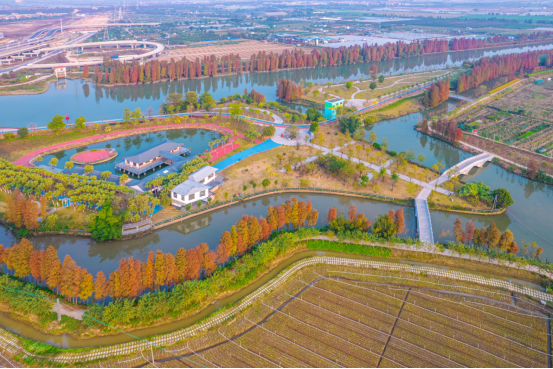 江门市礼乐河省级水利风景区。通讯员供图