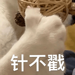 粤省事_20231124_150437.gif