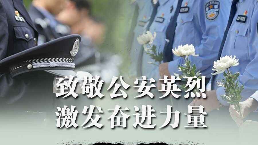 缅怀！2024年全国公安机关共有208名民警因公牺牲
