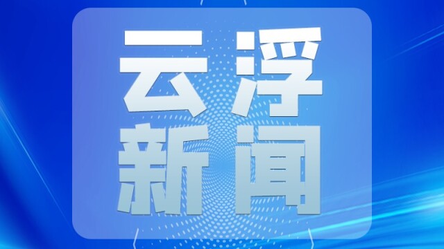 云浮市人大常委会开展专题调研