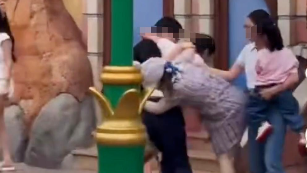 上海迪士尼一对情侣和一家三口扭打，警方通报