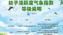 注意防护!预计未来数日广东大部分地区蚊子活跃 注意防护!预计未来数日广东大部分地区蚊子活跃
