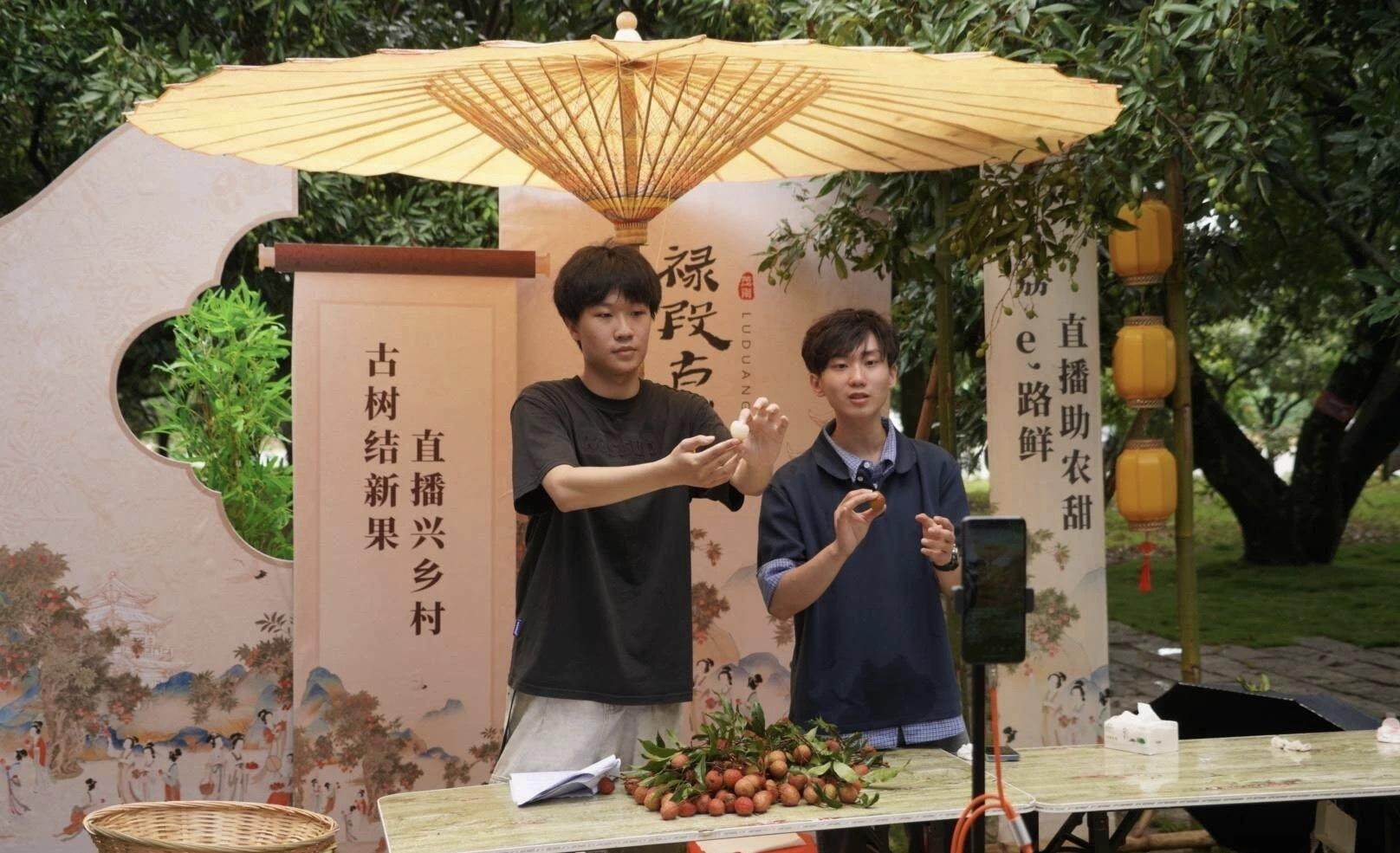 隆林lychees抓住“新鲜”观看②：现场广播转向农