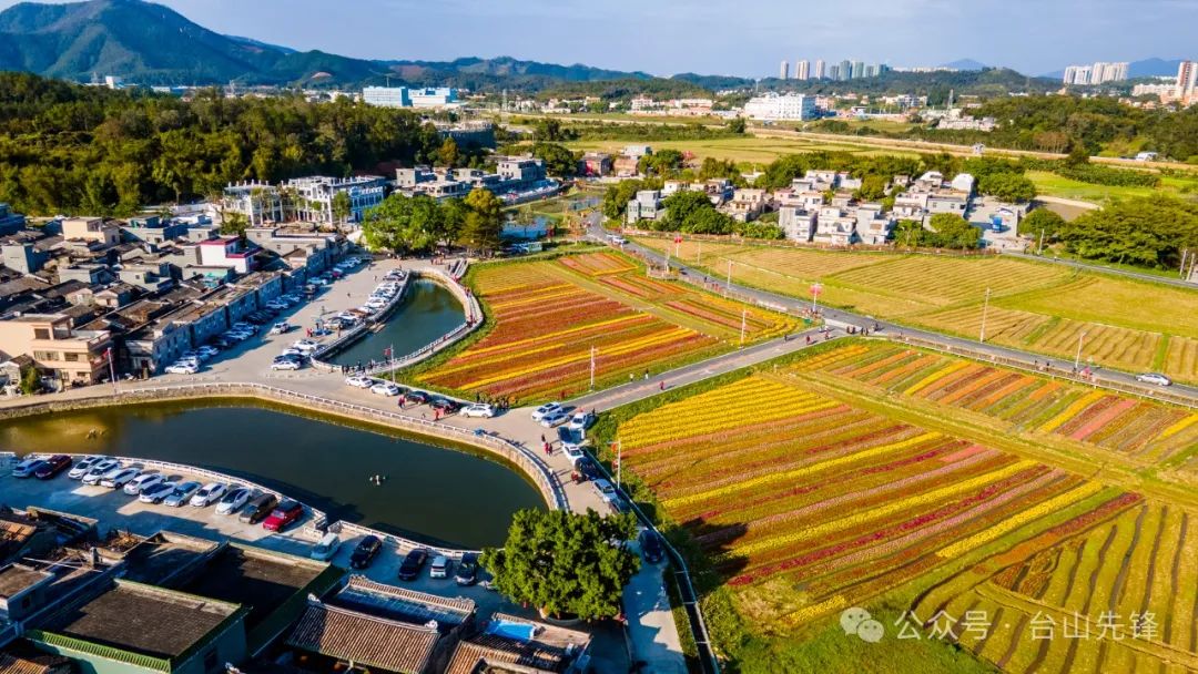 江门台山：一村一景强示范，绿美乡村入画来丨创建助力“百千万”