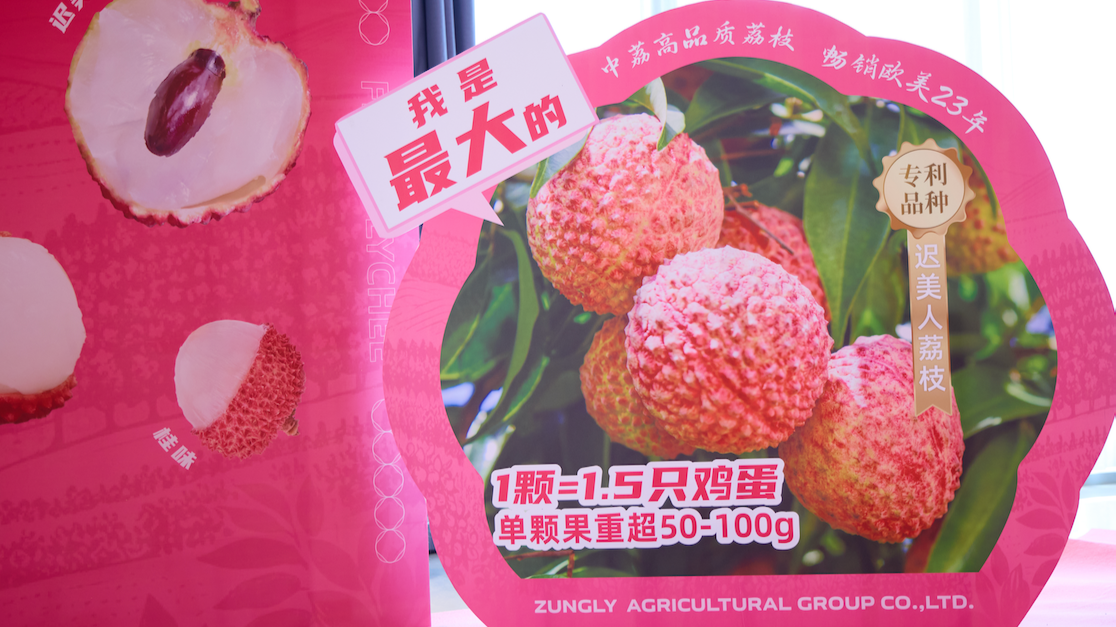 Guangdong targets global market with high-quality lychee
