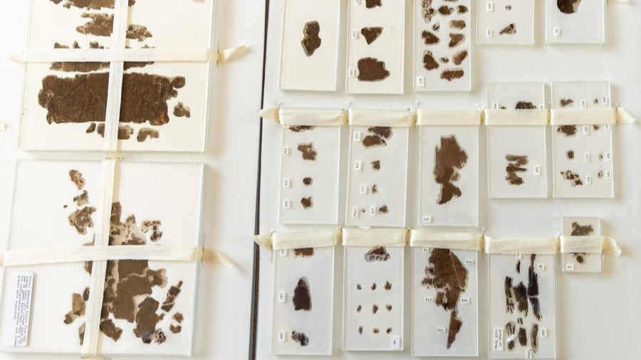 Homecoming of 2,300-year-old silk manuscripts