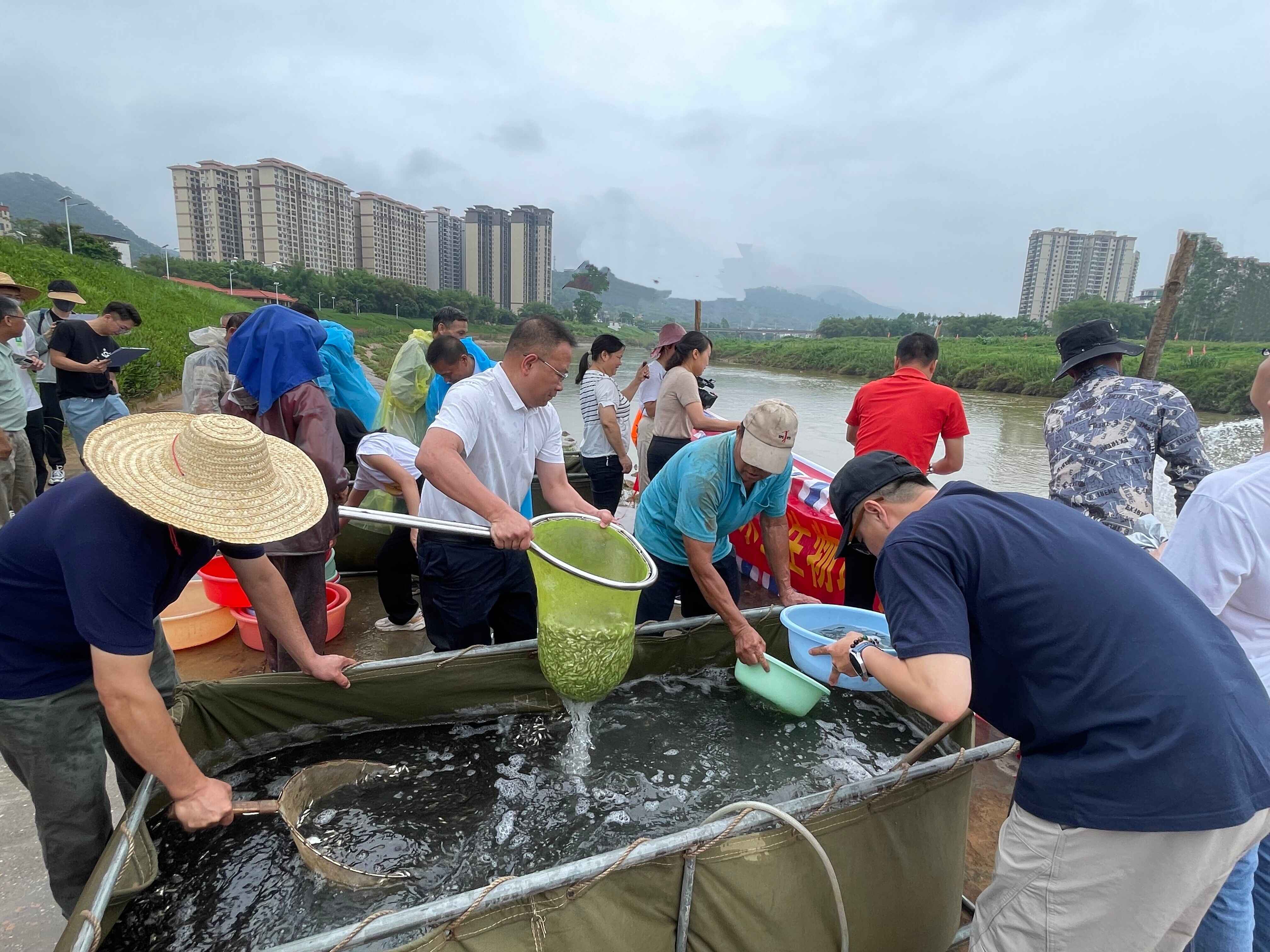郁南：90万尾鱼苗“安家”南江河