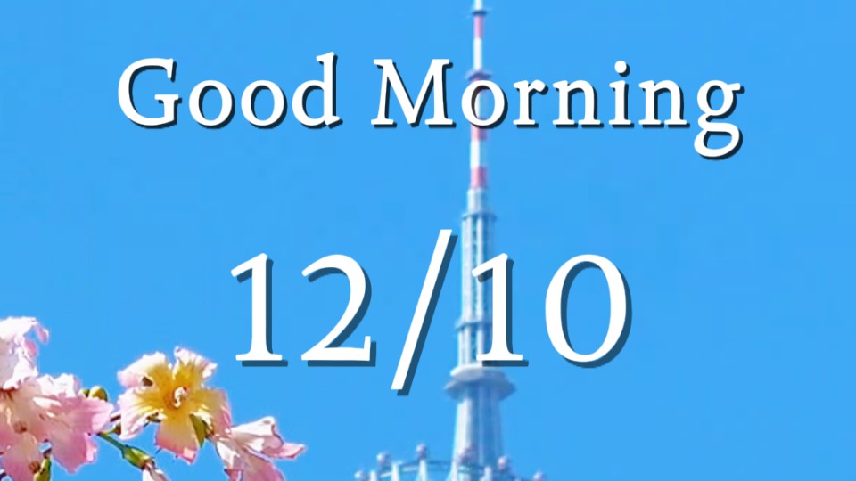 Warm winter prelude with blossoms throughout journey