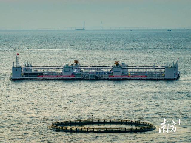 “格盛1号”以及远处清晰可见的港珠澳大桥。资料图片 “格盛1号”以及远处清晰可见的港珠澳大桥。资料图片