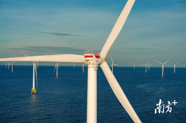 阳江海上风电。南方+记者 张令 摄 阳江海上风电。南方+记者 张令 摄