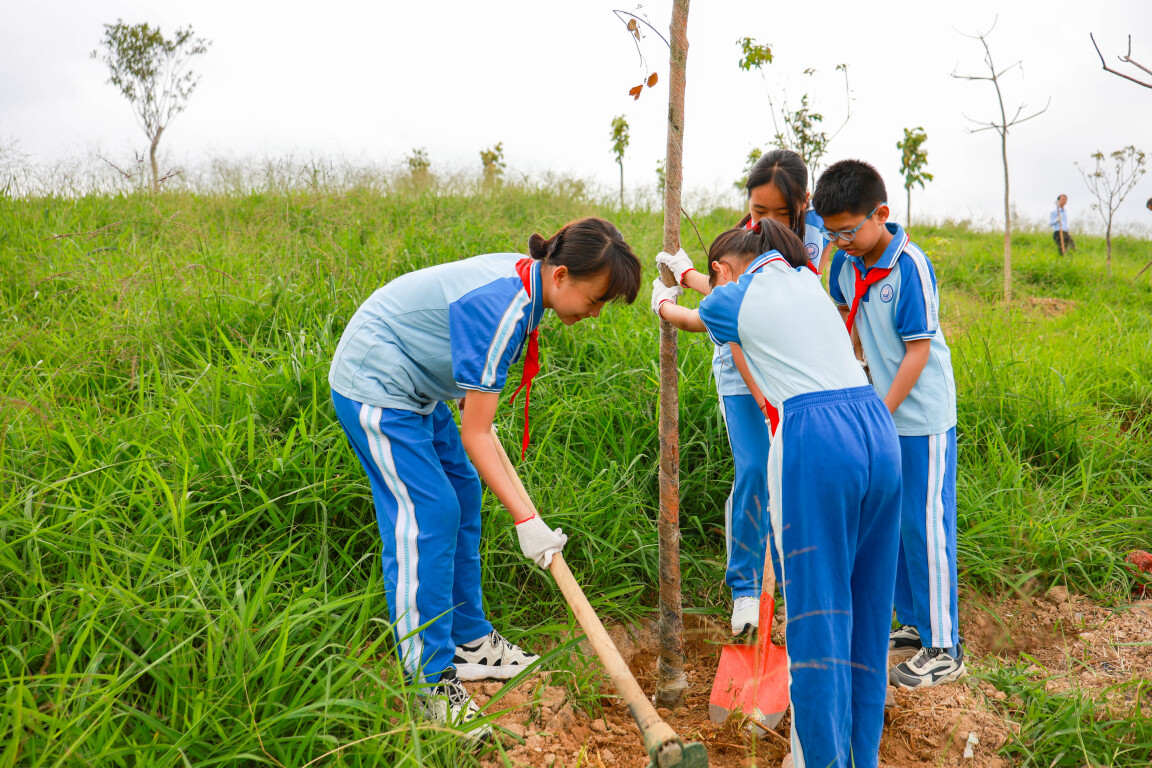 东莞清溪开展“我为全运种棵树”义务植树活动（通讯员图）