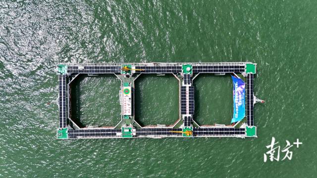 “格盛 1 号”养殖平台。南方+记者 关铭荣 摄 “格盛1号”养殖平台。南方+记者 关铭荣 摄