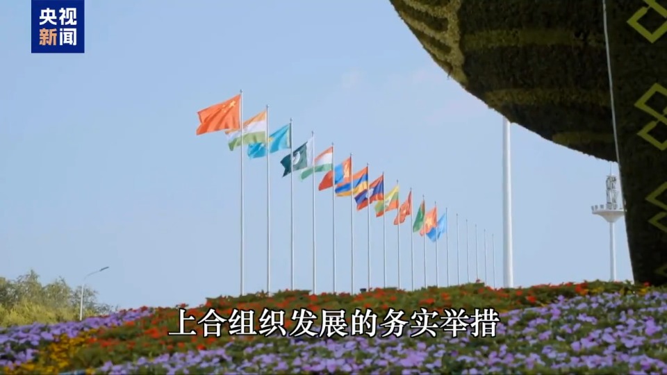 重磅微视频丨总书记引领中国经济巨轮行稳致远