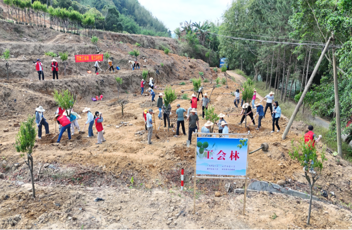 新兴县河头镇：共建青梅“工会林”，绘就“梅”好蓝图