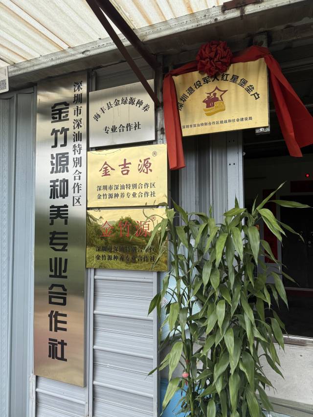 金竹源合作社被授予“深圳退役军人红星堡垒户”荣誉。
